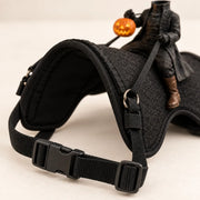 The saddle & straps